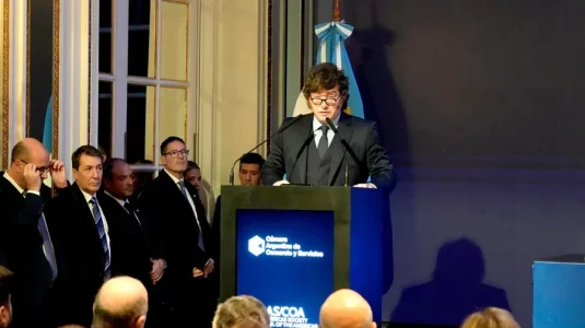 El presidente Javier Milei culpa a las feministas y al aborto de la baja natalidad en Argentina