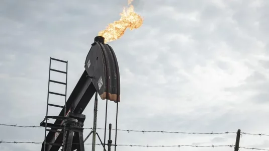 petroleo_delcy (1)